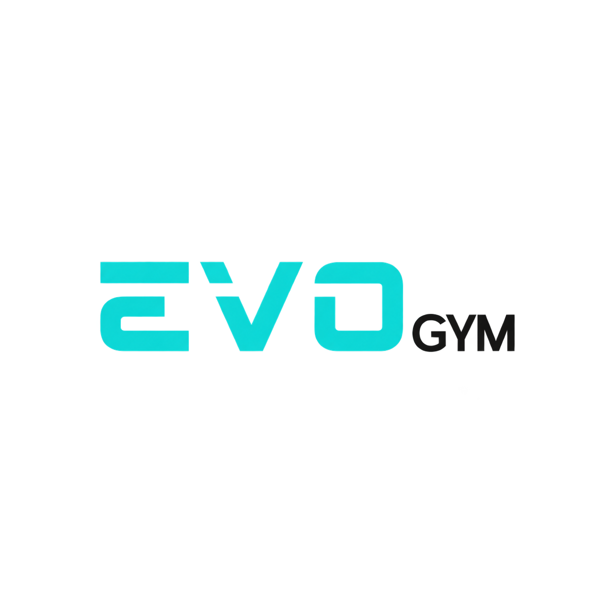 Evo Gym project frame
