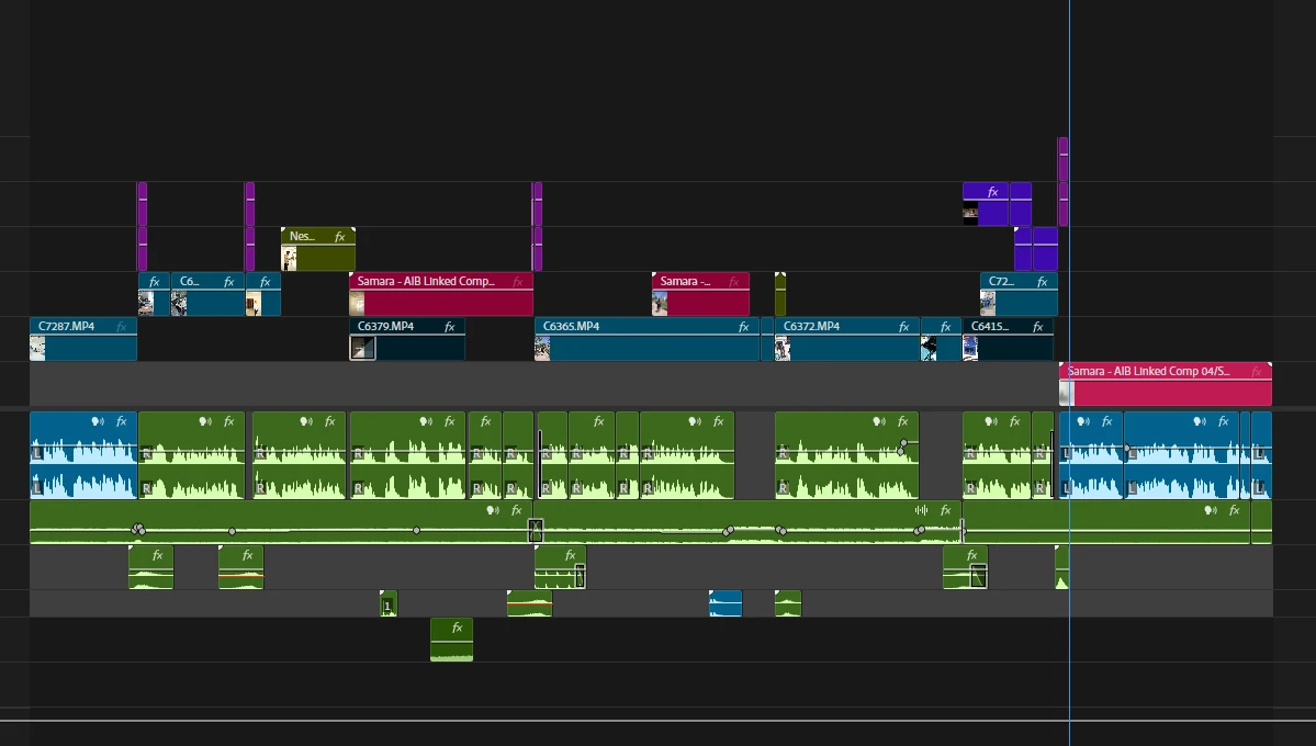 Hamza & Leena — IIAB editing timeline 1